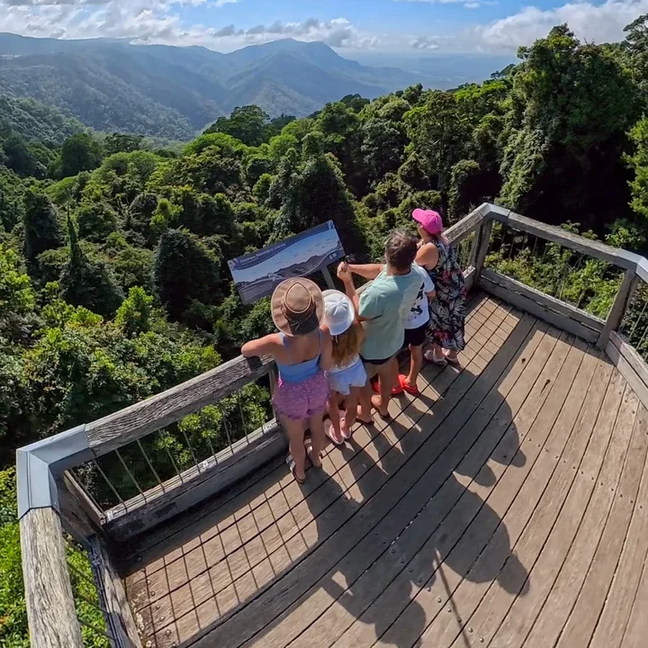 Family enjoying the rainforest views from Skywalk Lookout in Dorrigo National Park, NSW