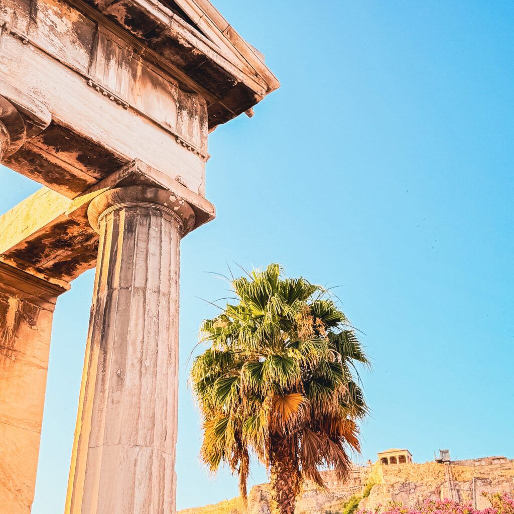 Palm tree infront of ancient ruins in Athens Greece