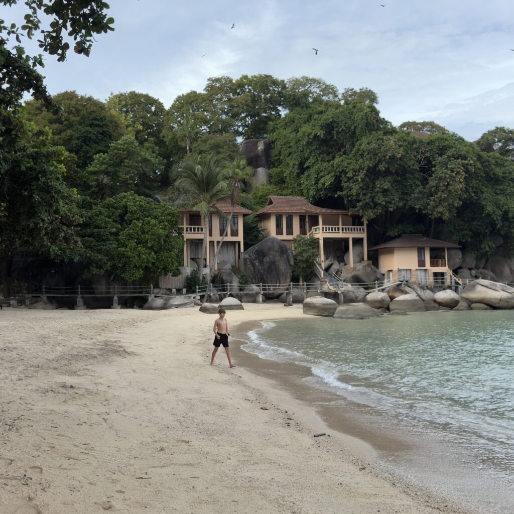 Freedom Beach in southern Koh Tao, Thailand, with turquoise water, a rocky shoreline and a secluded sandy beach surrounded by tropical jungle